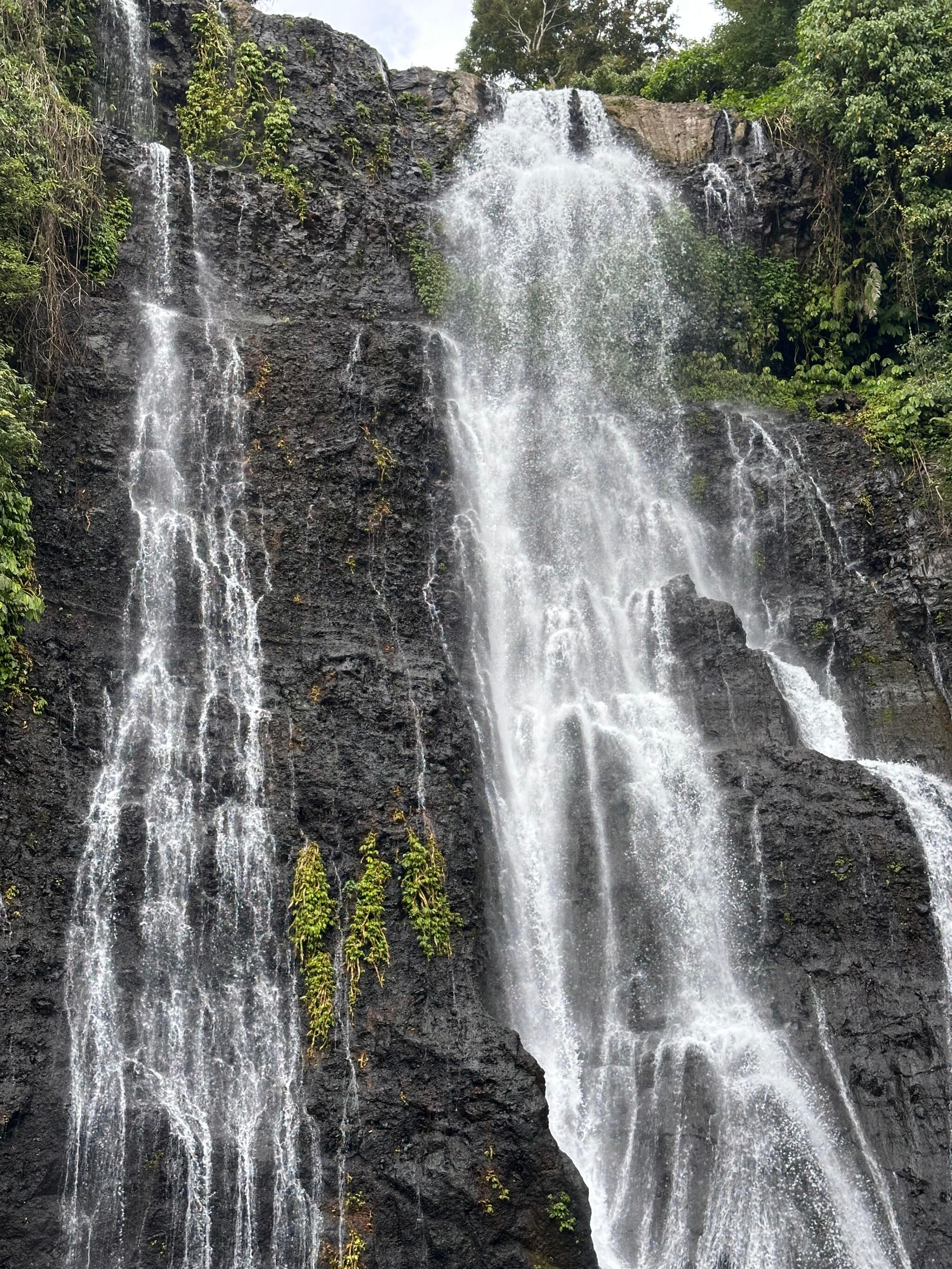 From waterfall to the sea
